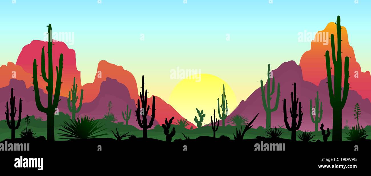 Tramonto nel deserto. Sagome di pietre, cactus e piante. Il paesaggio del deserto con cactus. Il deserto pietroso. Illustrazione Vettoriale