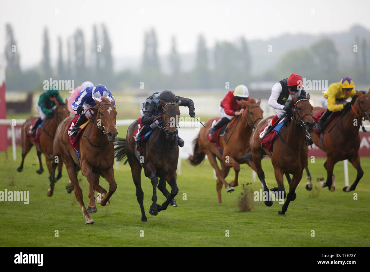 La regina potenza guidata da Silvestre de Sousa (a sinistra) guida il campo di casa per vincere la Haras De Bouquetot Prove dei Fillies Stakes Race durante al Shaqab Lockinge Day all'ippodromo di Newbury, Newbury. Foto Stock