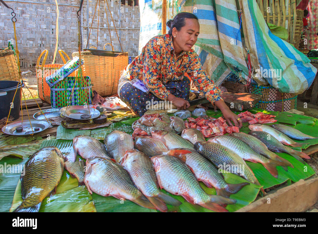 Venditore di pesce in un villaggio mercato, Lago Inle, Myanmar Foto Stock