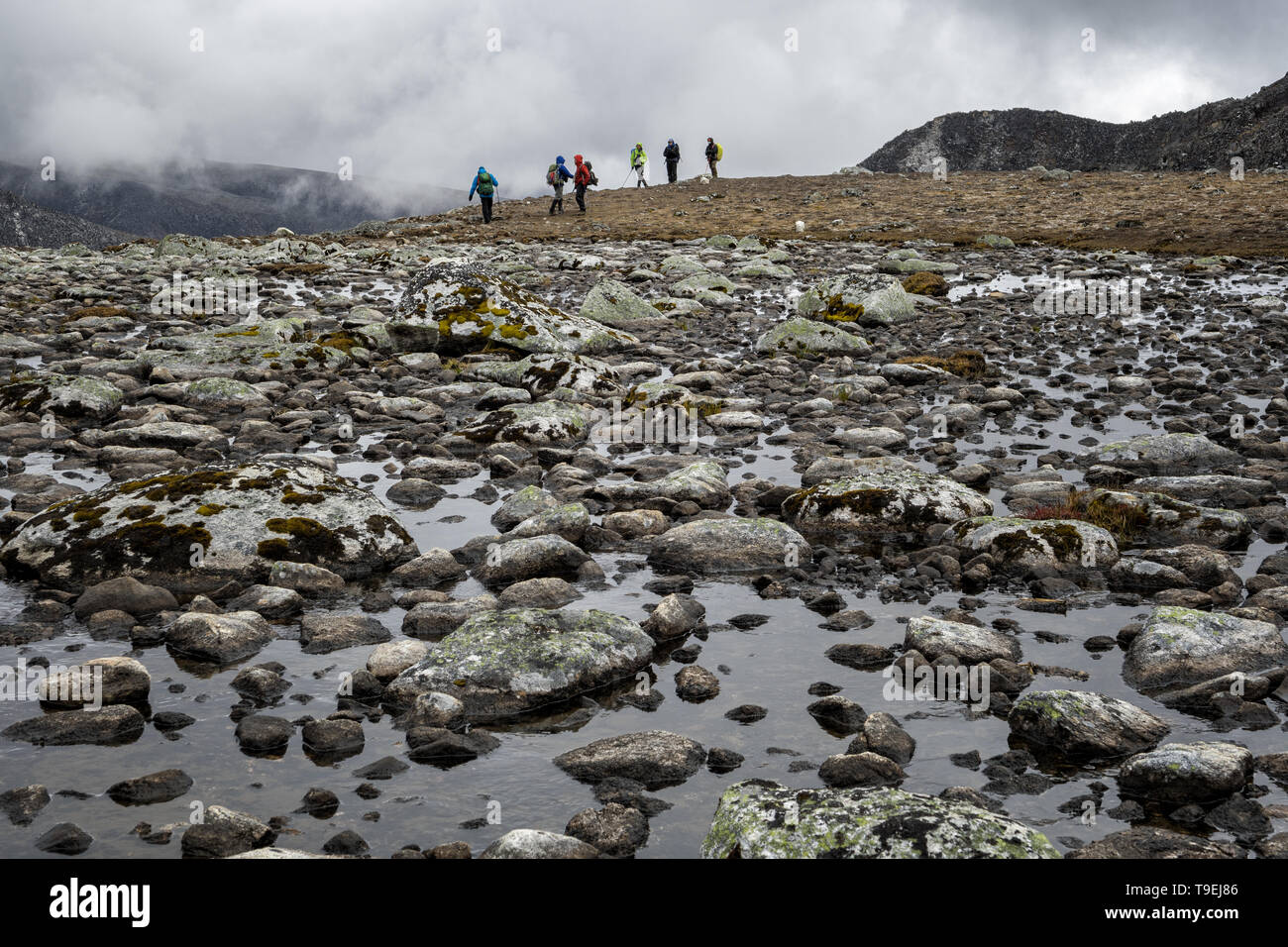 Il trekking vicino Tshochena camp, Lunana Gewog, Gasa distretto, Snowman Trek, Bhutan Foto Stock
