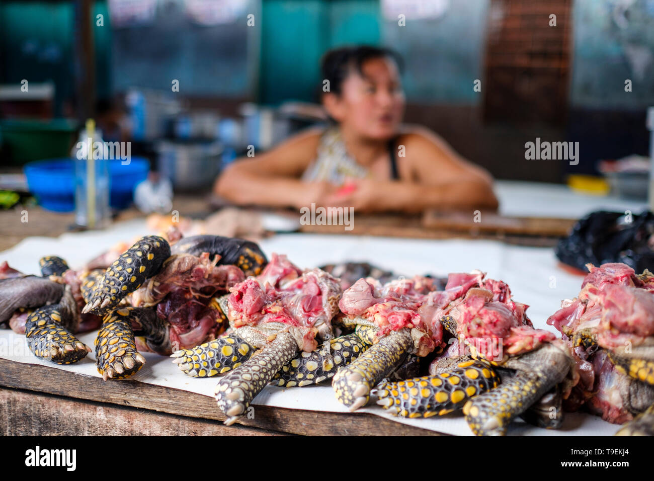 La carne di tartaruga per la vendita su un macellaio di fauna selvatica' stallo a Belen mercato o Mercado Belén a Iquitos in Amazzonia peruviana, Maynas Provincia, Regione di Loreto, Perù Foto Stock