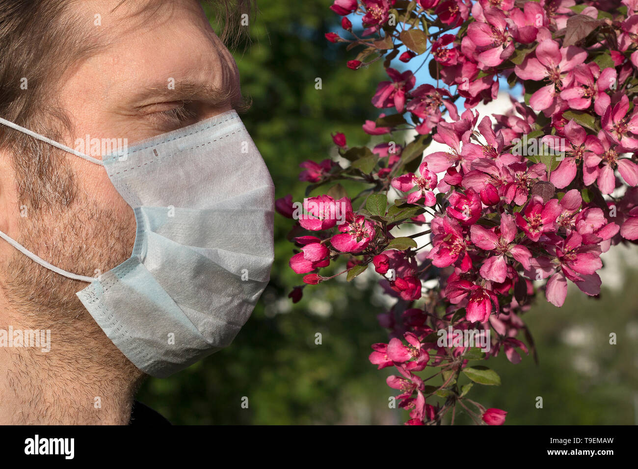 Vista ritagliata dell uomo con respiratore medico sul suo volto, il melo fiori. La mancanza di ossigeno, immunità debole, bad ecologia Foto Stock