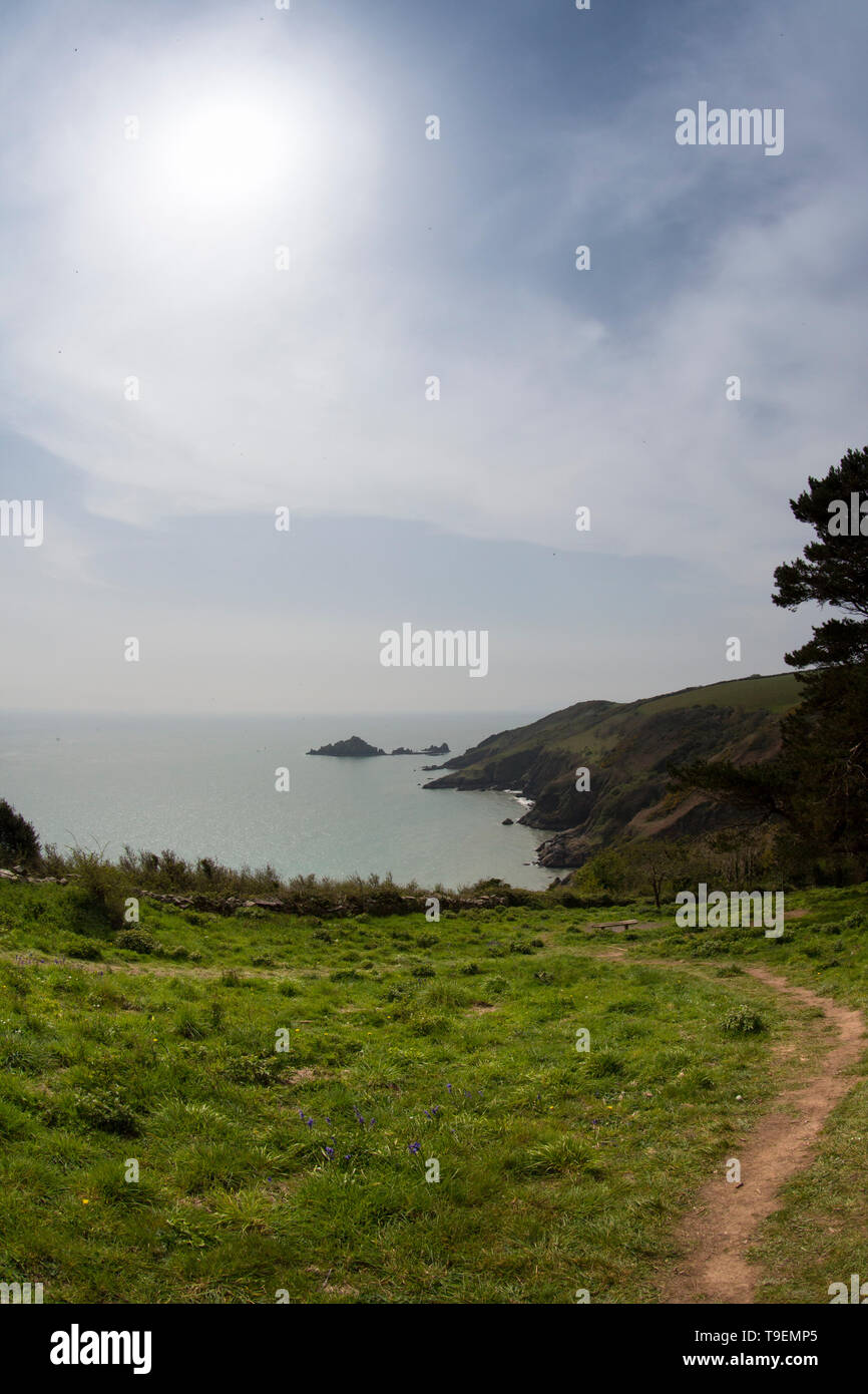 Coleton Fishacre è una proprietà composta di 24 acri di giardino e di una casa di proprietà è stata di proprietà del National Trust dal 1982. Foto Stock