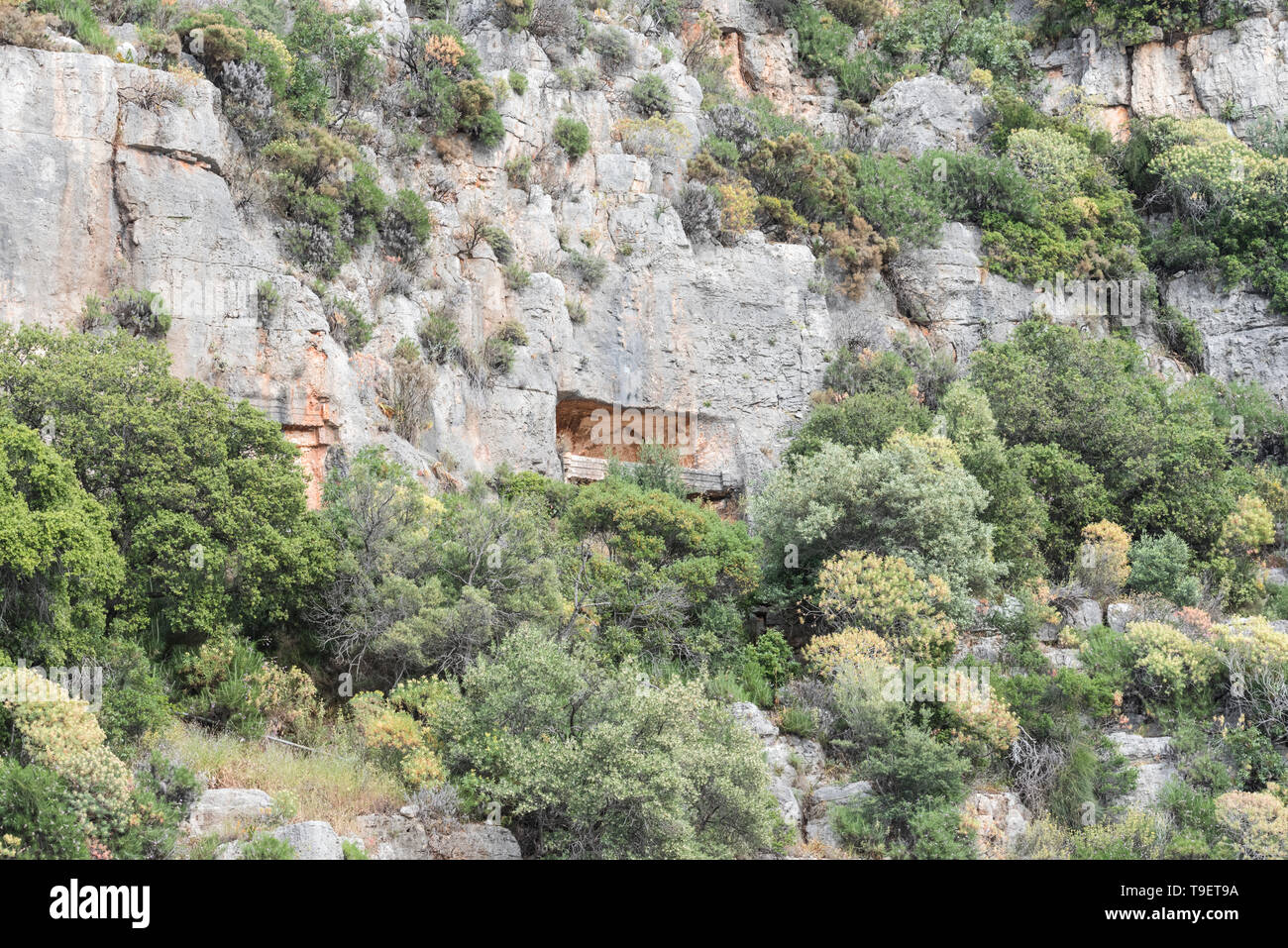 Lycian rock cut tomba nella roccia vicino a Kas, Turchia Foto Stock