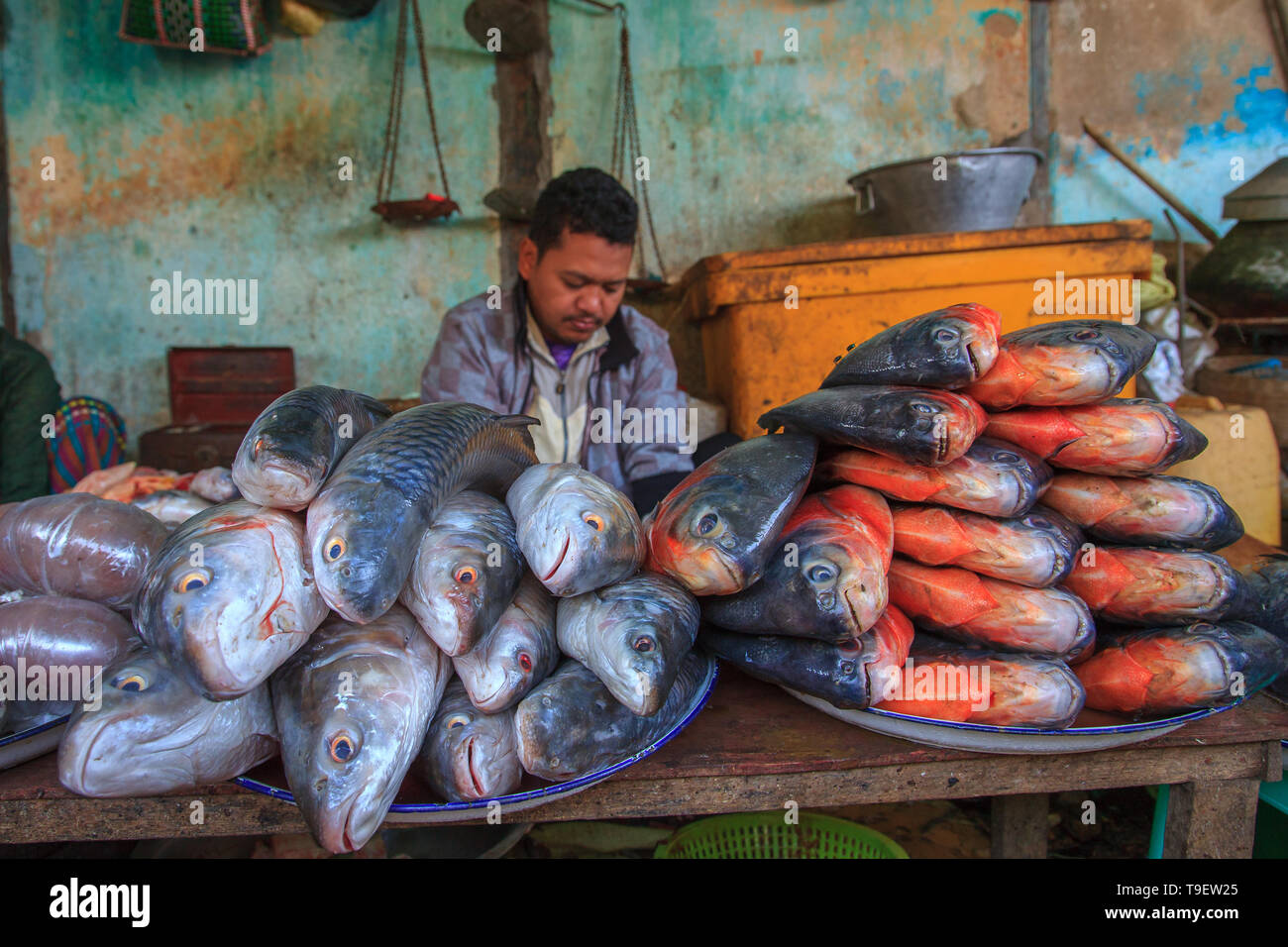 38/5000 venditore di pesce al mercato di Bagan Foto Stock