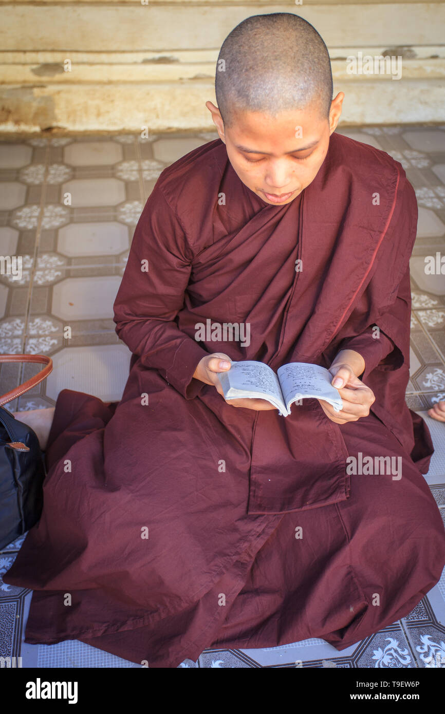 Una suora birmana la lettura di un libro Foto Stock