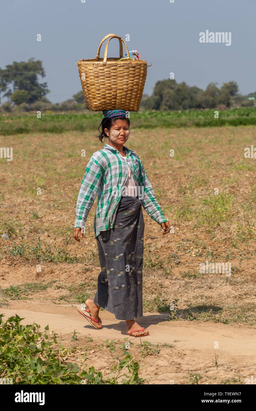 Contadini birmano Foto Stock