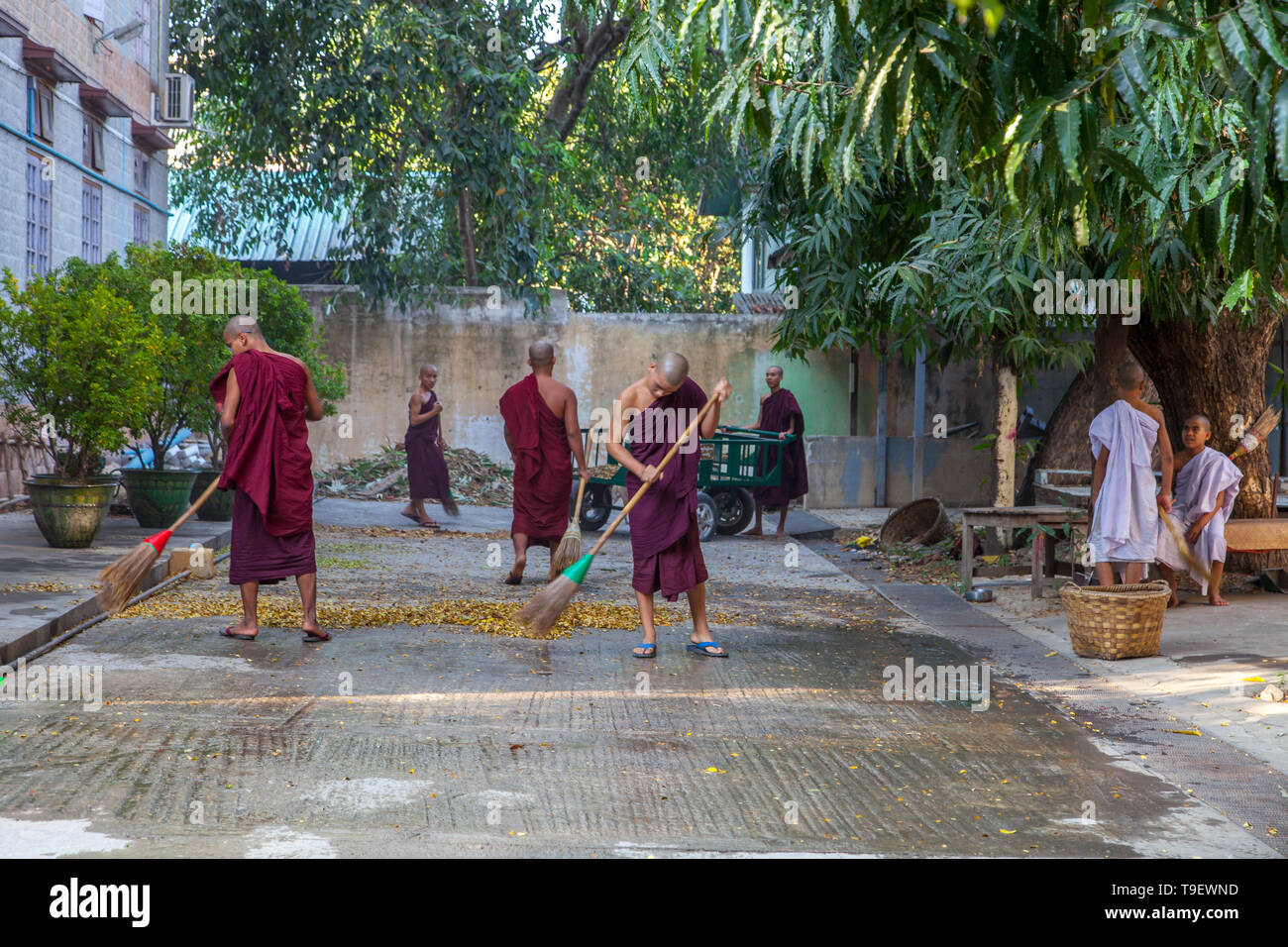 I giovani monaci buddisti a lavorare nel loro monastero di Mandalay Foto Stock