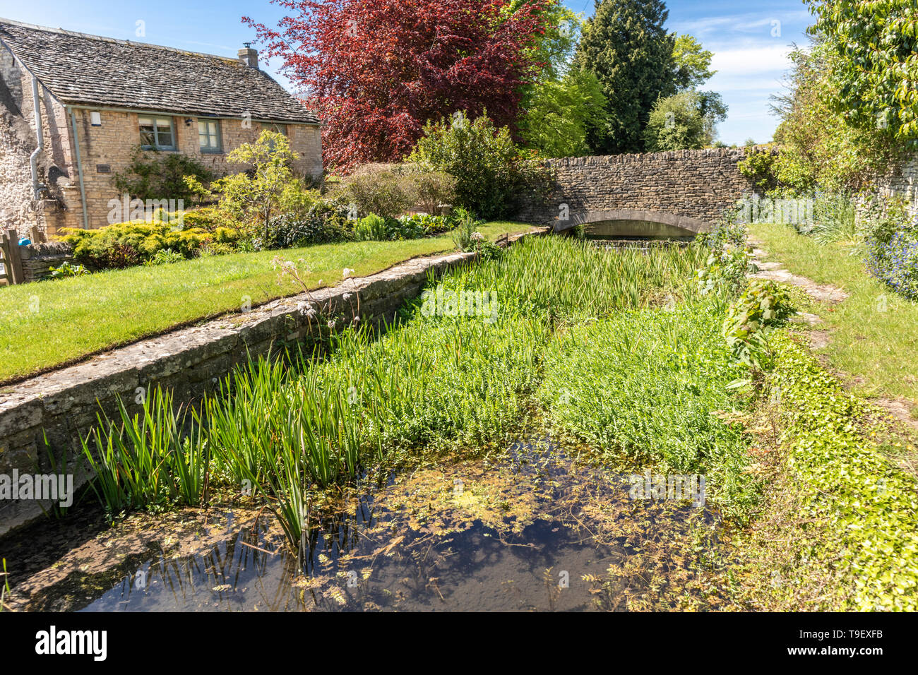 Campo di Glebe Cottage accanto a un vecchio mulino leat in Cotswold città di Northleach, Gloucestershire Foto Stock