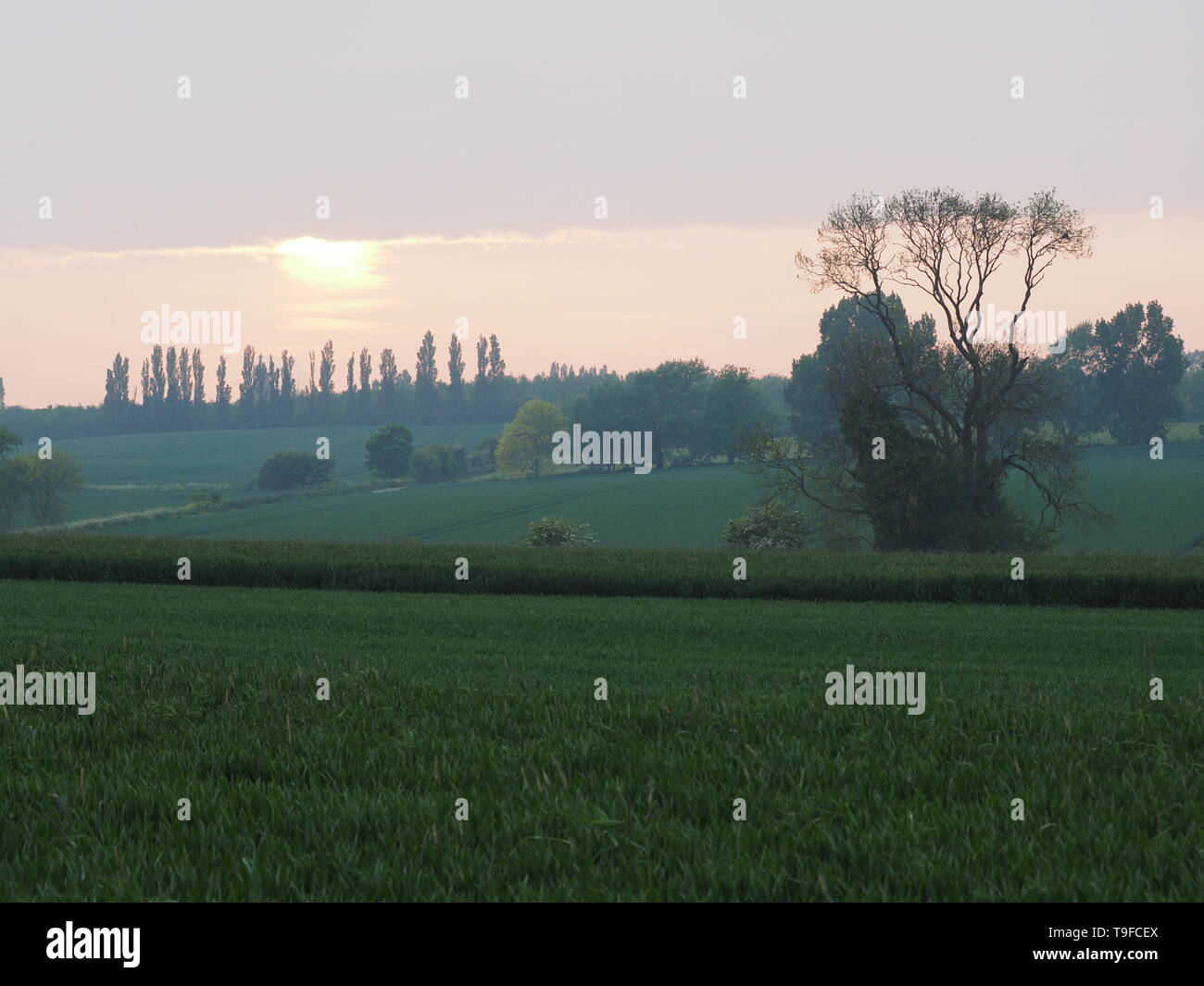 Eastchurch, Kent, Regno Unito. 18 Maggio, 2019. Regno Unito Meteo: questa sera al tramonto in Eastchurch, Kent. Credito: James Bell/Alamy Live News Foto Stock