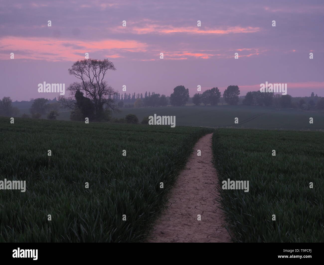 Eastchurch, Kent, Regno Unito. 18 Maggio, 2019. Regno Unito Meteo: questa sera al tramonto in Eastchurch, Kent. Credito: James Bell/Alamy Live News Foto Stock