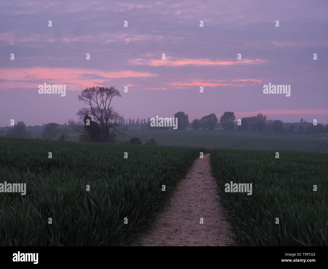 Eastchurch, Kent, Regno Unito. 18 Maggio, 2019. Regno Unito Meteo: questa sera al tramonto in Eastchurch, Kent. Credito: James Bell/Alamy Live News Foto Stock