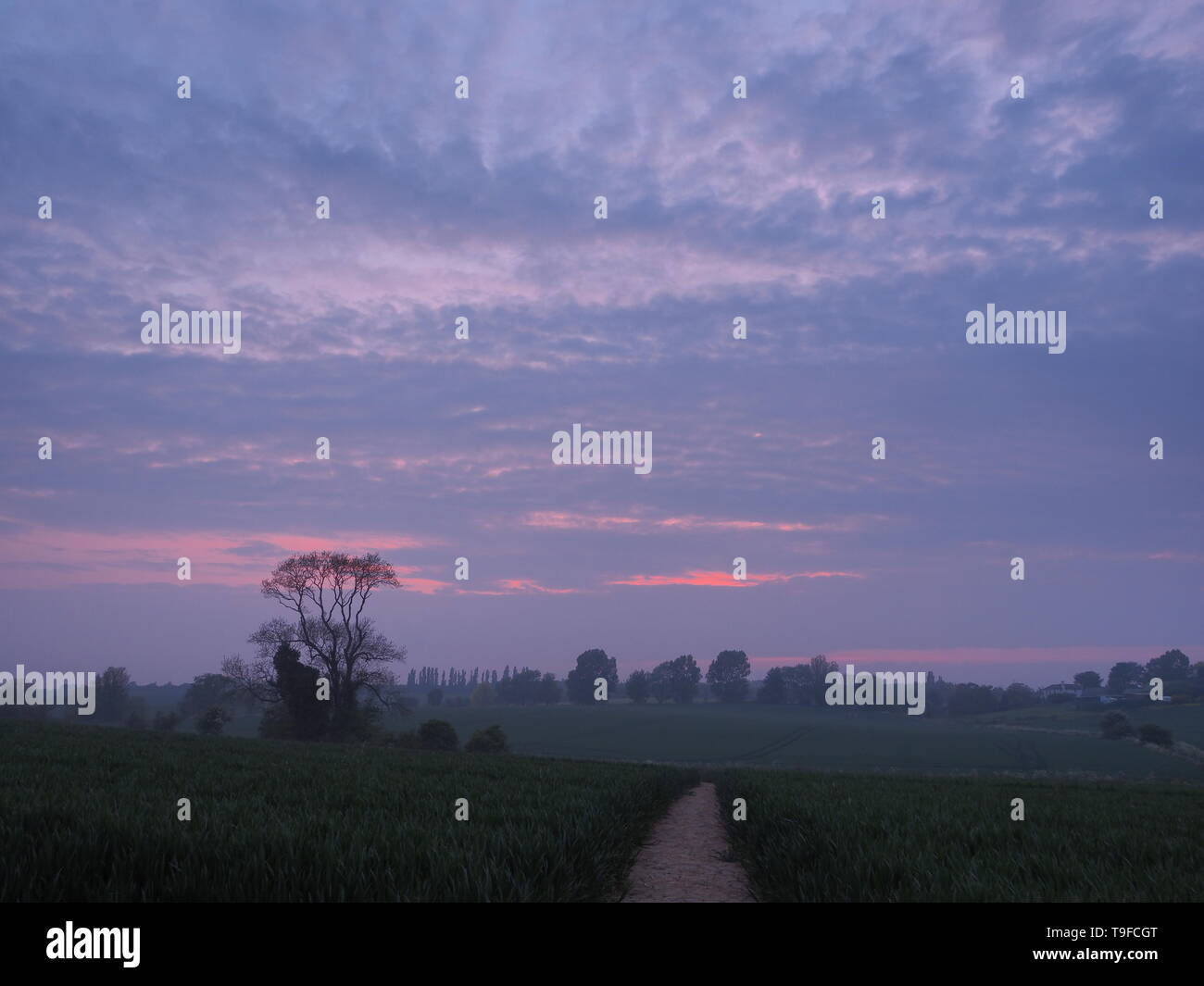 Eastchurch, Kent, Regno Unito. 18 Maggio, 2019. Regno Unito Meteo: questa sera al tramonto in Eastchurch, Kent. Credito: James Bell/Alamy Live News Foto Stock