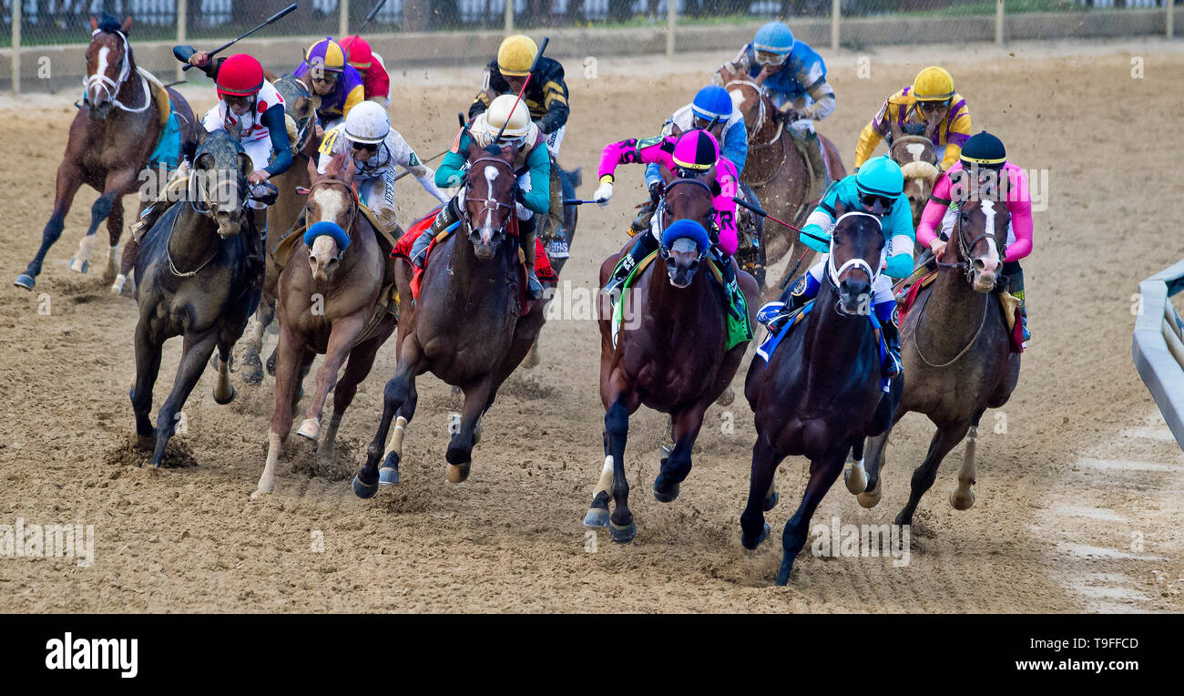 Baltimore, MD, Stati Uniti d'America. 18 Maggio, 2019. 18 Maggio 2019 : la guerra di volontà #1 (fino all'interno, il cappuccio nero), cavalcato da Tyler Gaffalione, si sposta lungo la rotaia in giro per casa e viene spinto a vincere il Preakness Stakes su Preakness giorno a Pimlico Race Course di Baltimora, Maryland. Scott Serio/Eclipse Sportswire/CSM/Alamy Live News Foto Stock