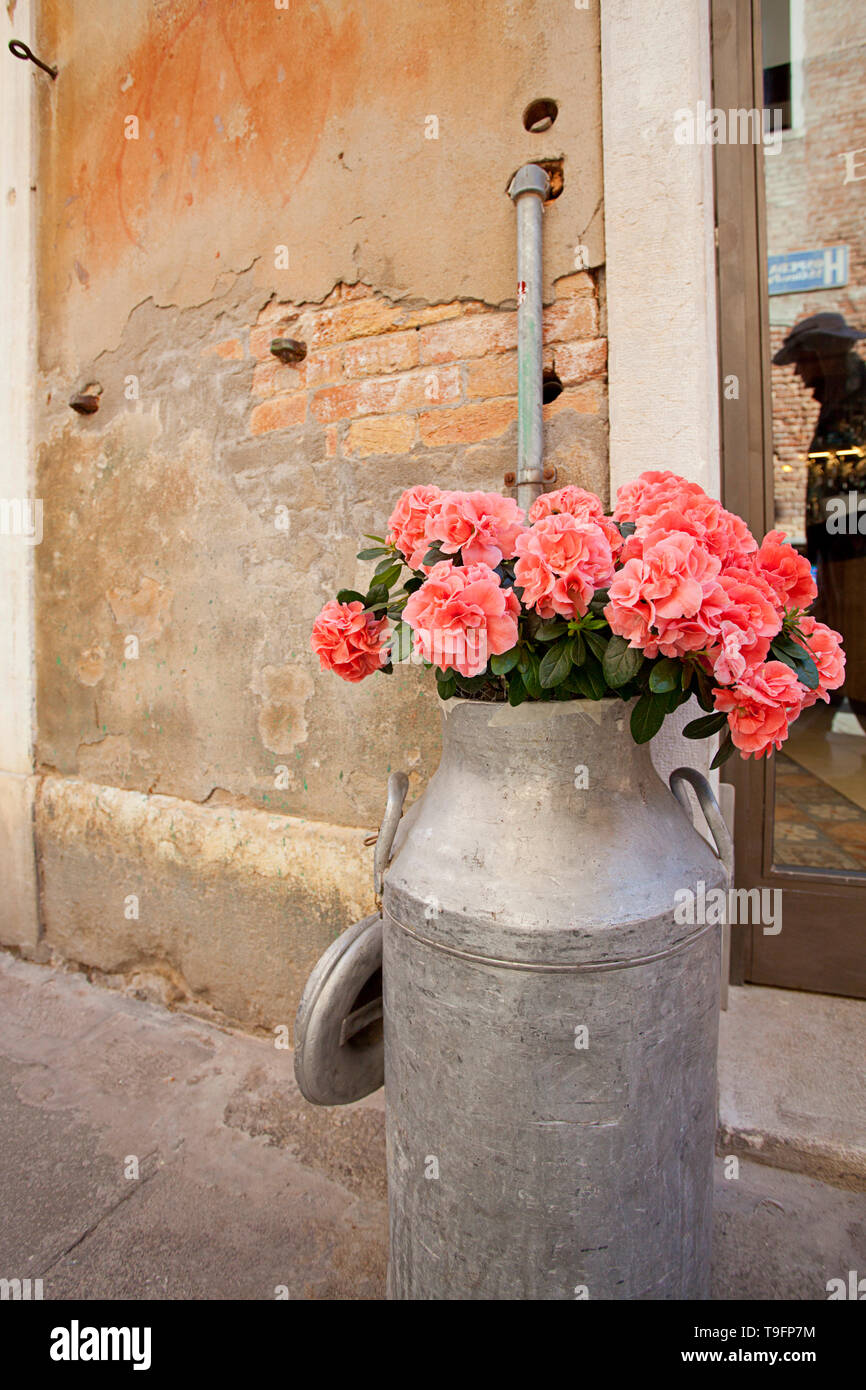 Garofani rosa in un vaso di fiori sulla strada, Venezia. Foto Stock
