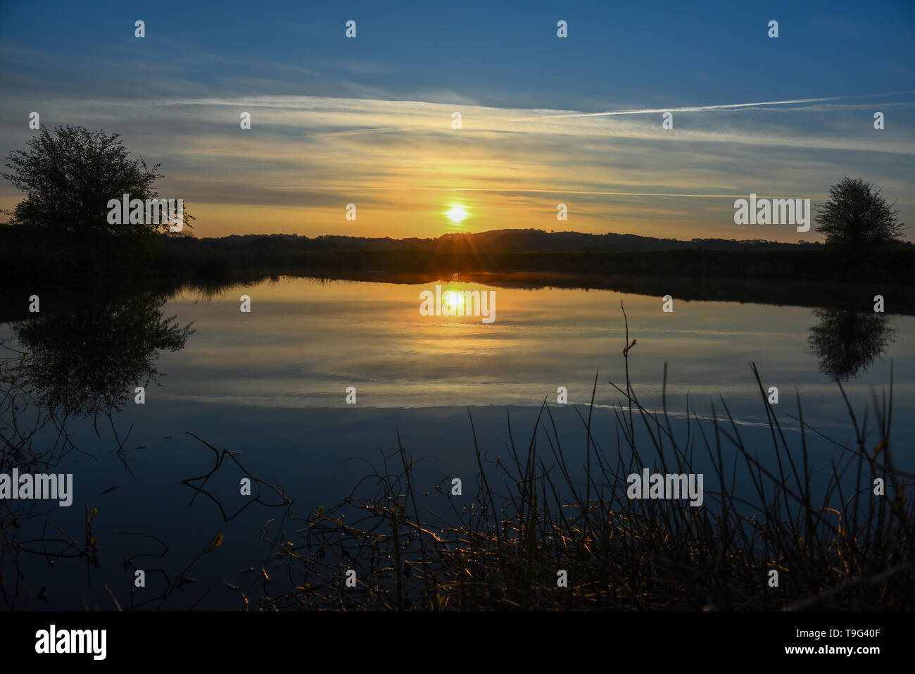 Alba sul laghetto di fattoria Foto Stock