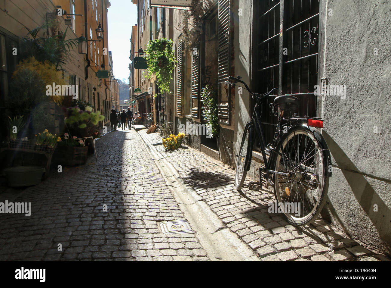 L'immagine dal tradizionale strette strade di Stoccolma. Camminare dentro la Gamla Stan. Foto Stock