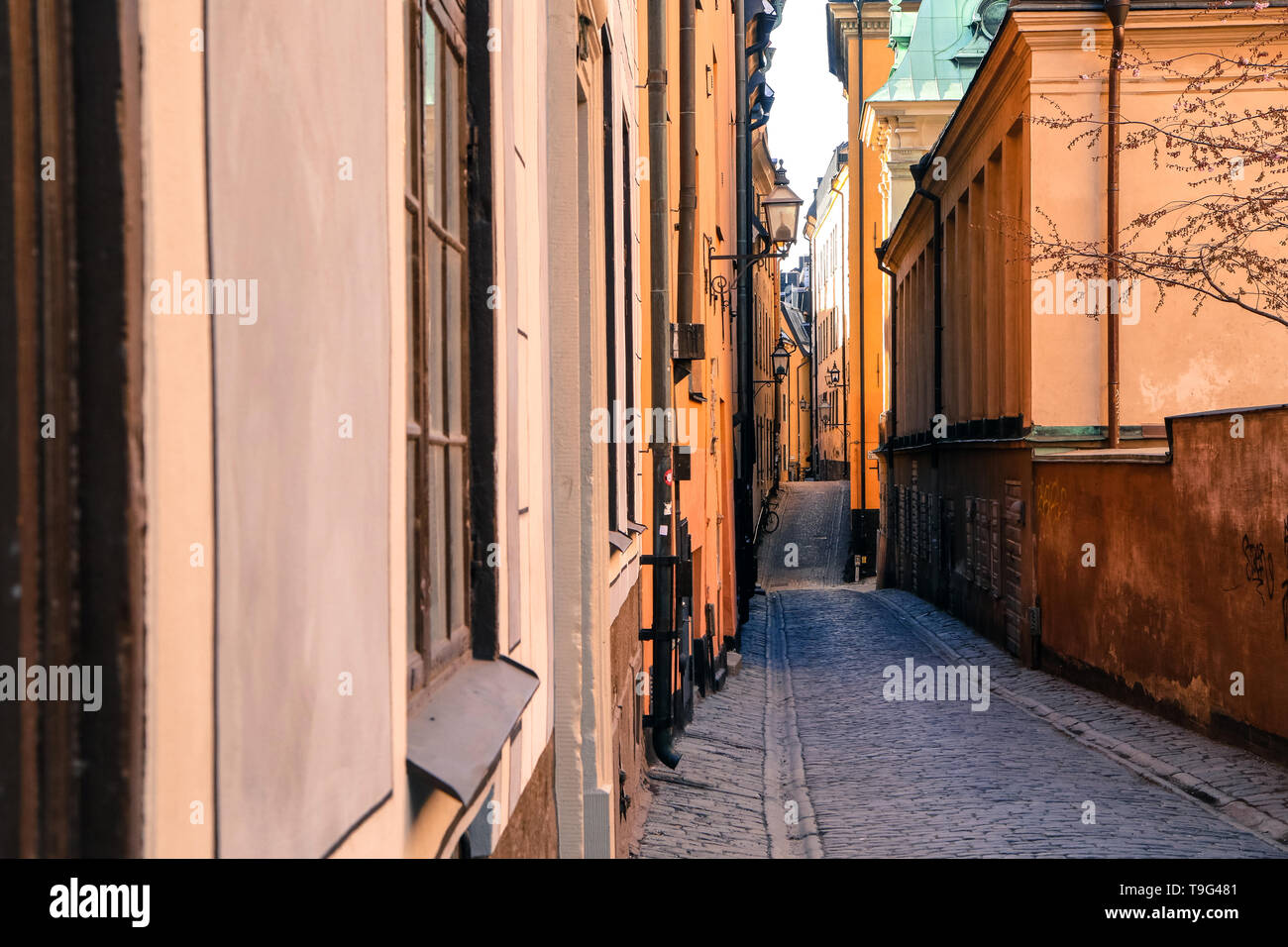 L'immagine dal tradizionale strette strade di Stoccolma. Camminare dentro la Gamla Stan. Foto Stock