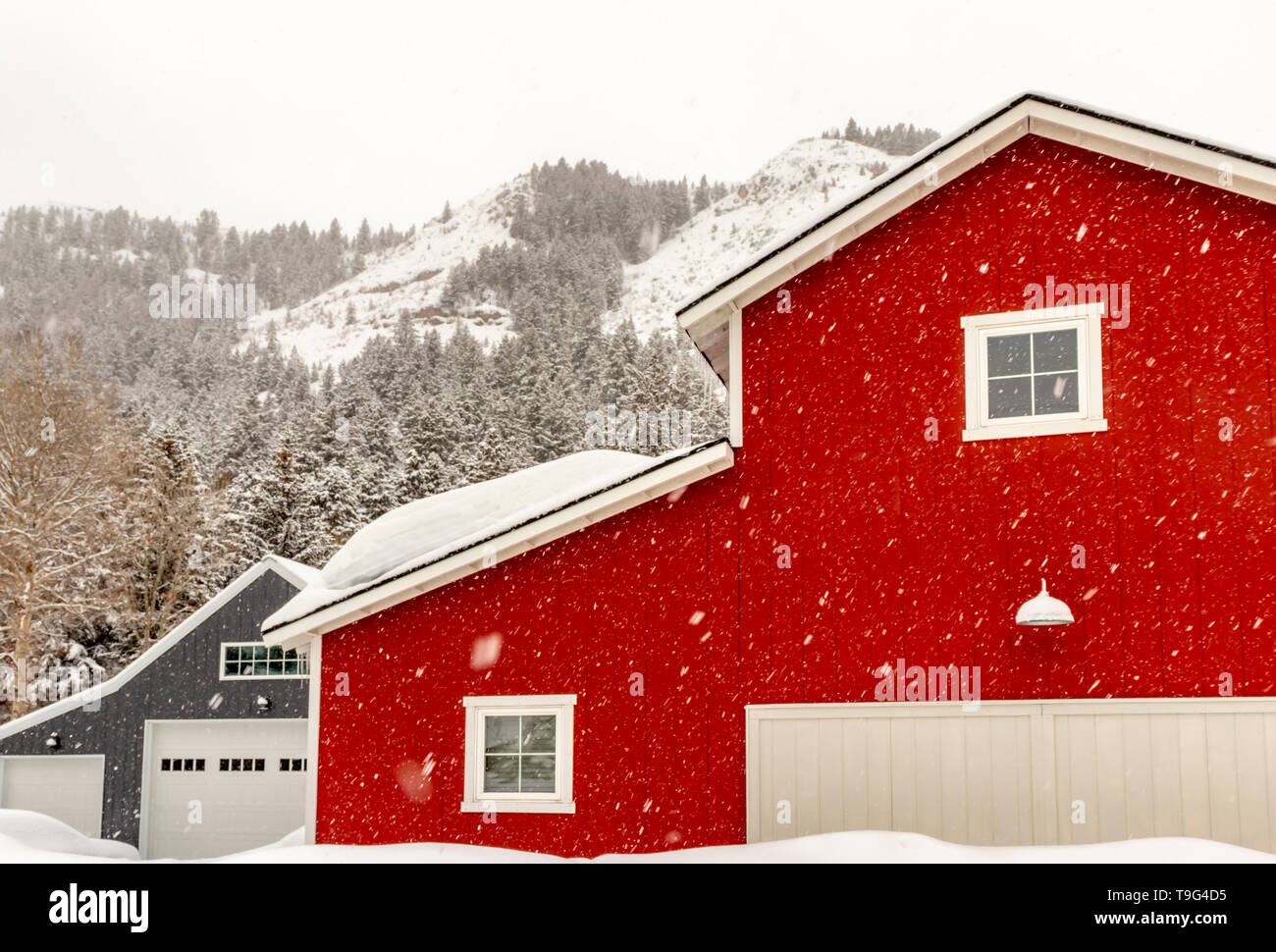Il pittoresco neve invernale scena con un granaio rosso in Kamas, Utah, Stati Uniti d'America. Foto Stock Il pittoresco neve invernale scena con un granaio rosso in Kamas, Utah, Stati Uniti d'America. Foto Stock