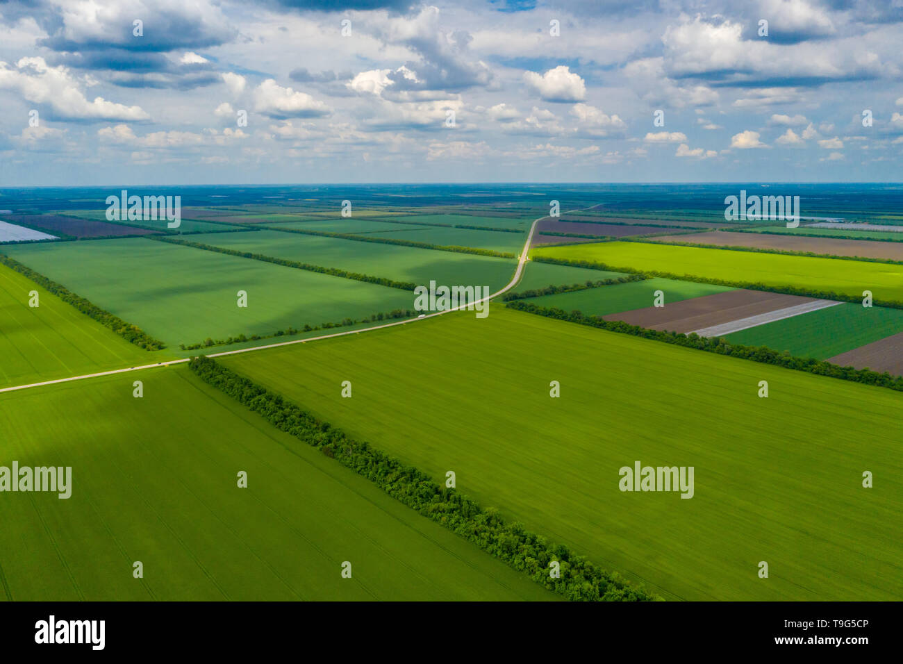 Paese verde campo con linee di riga, vista dall'alto, foto aeree Foto Stock