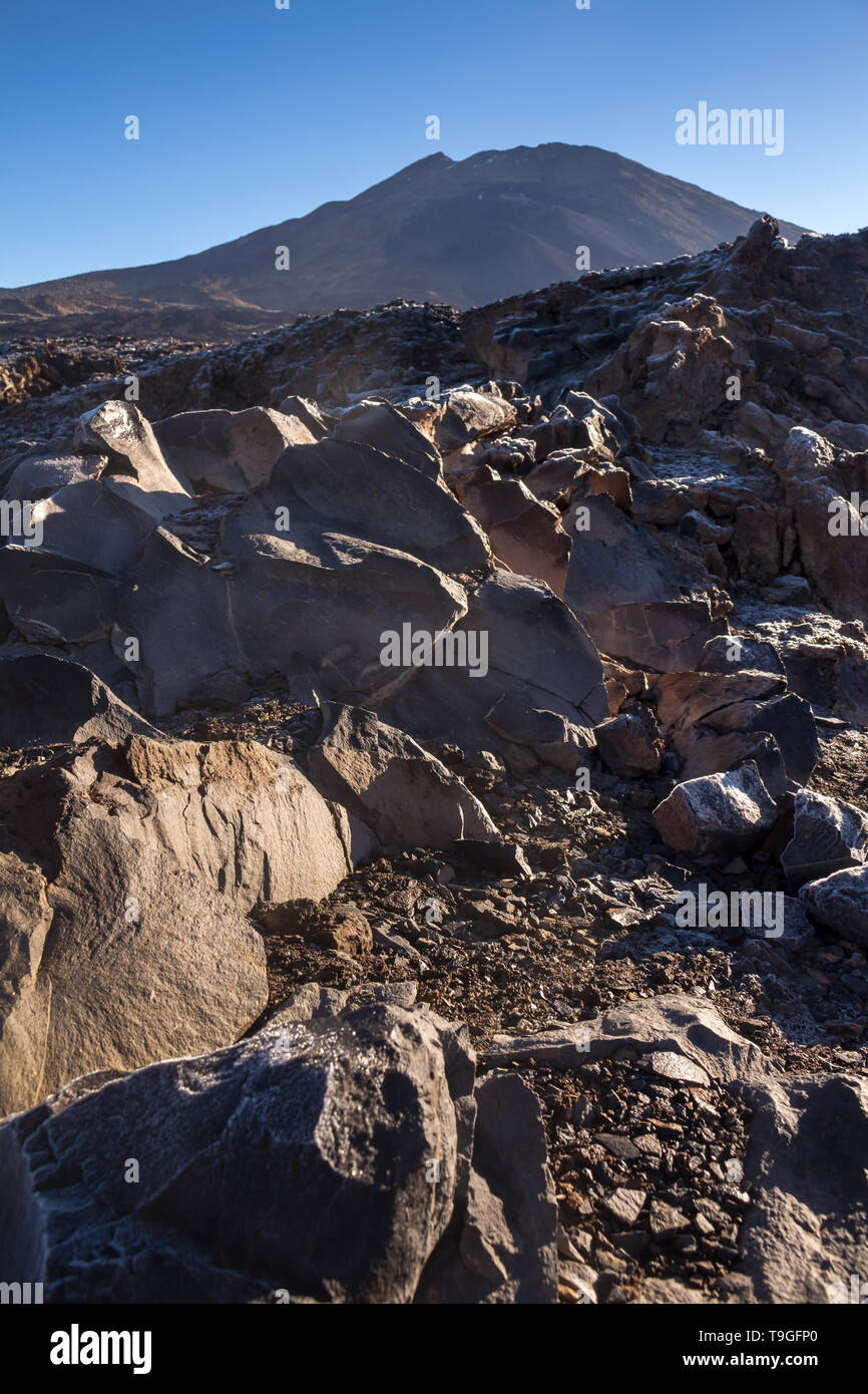 Sharp pietre di lava e rocce in un colore nero che copre il terreno nel Parco Nazionale del Teide. Tenerife, Isole Canarie, Spagna. Foto Stock