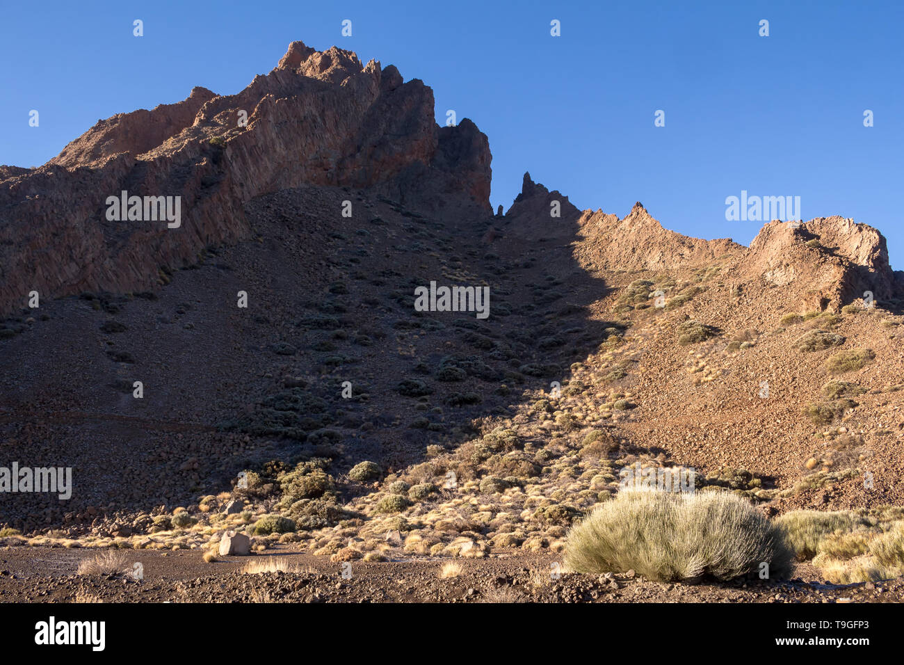 Varie forme del tuf rocce nel Parco Nazionale del Teide. Luna paese con vegetazione generico. Cielo mattutino con le nuvole. Tenerife, Isole Canarie Foto Stock