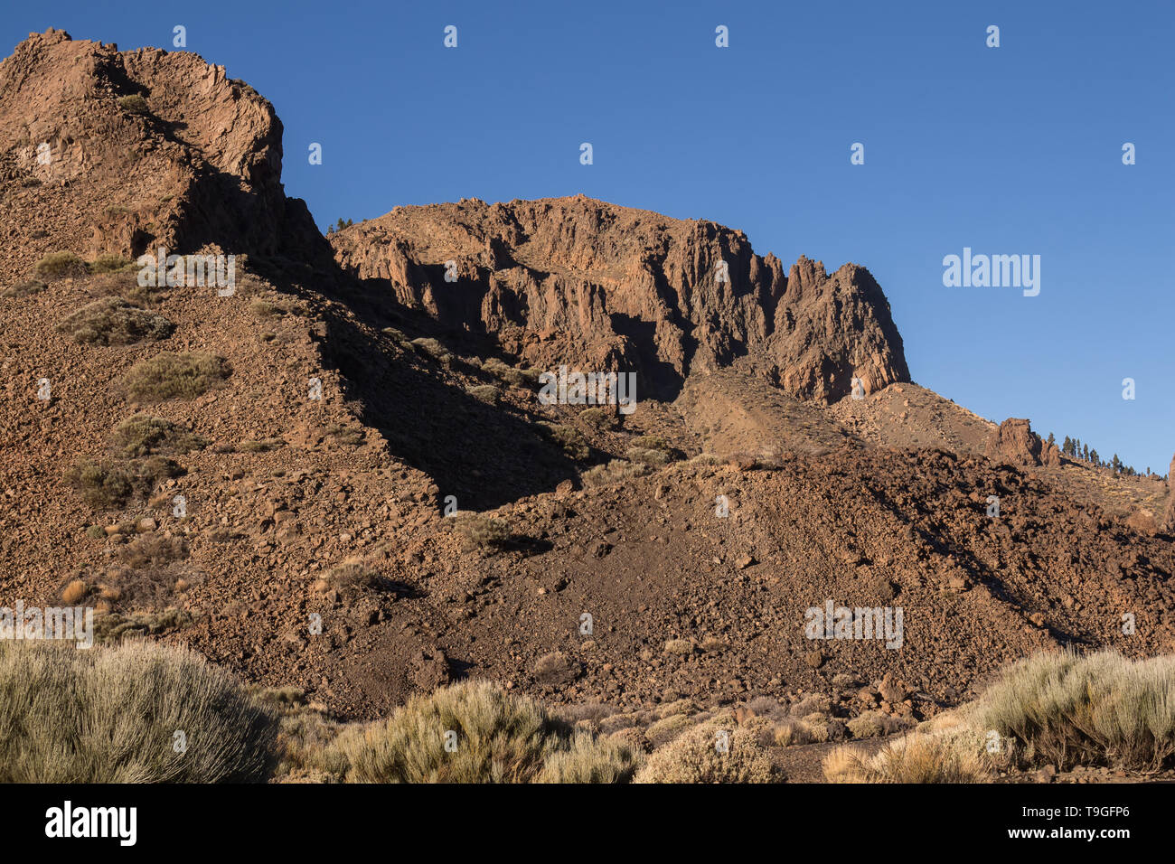 Varie forme del tuf rocce nel Parco Nazionale del Teide. Luna paese con vegetazione generico. Cielo mattutino con le nuvole. Tenerife, Isole Canarie Foto Stock