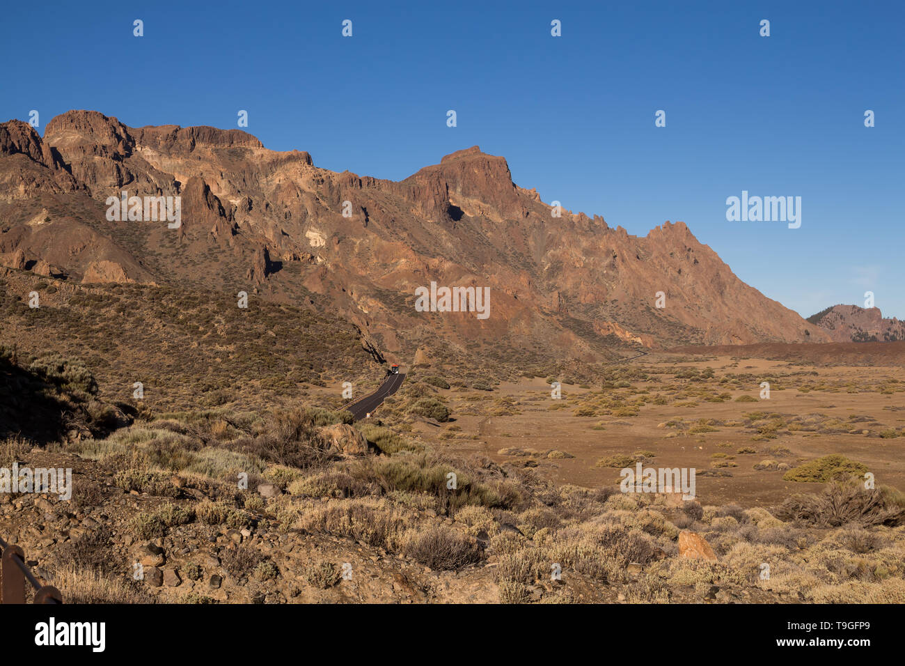 Varie forme del tuf rocce nel Parco Nazionale del Teide. Luna paese con vegetazione generico. Cielo mattutino con le nuvole. Tenerife, Isole Canarie Foto Stock