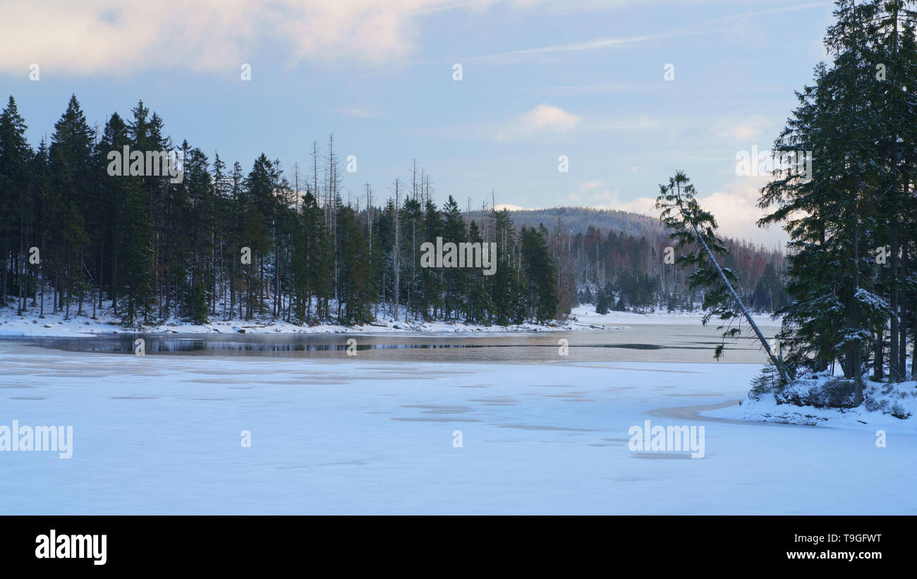 Paesaggio invernale con lago ghiacciato e la foresta in colori pastello. Lago innevato Oderteich vicino a Sankt Andreasberg, Parco Nazionale di Harz, Bassa Sassonia, Germania. Foto Stock