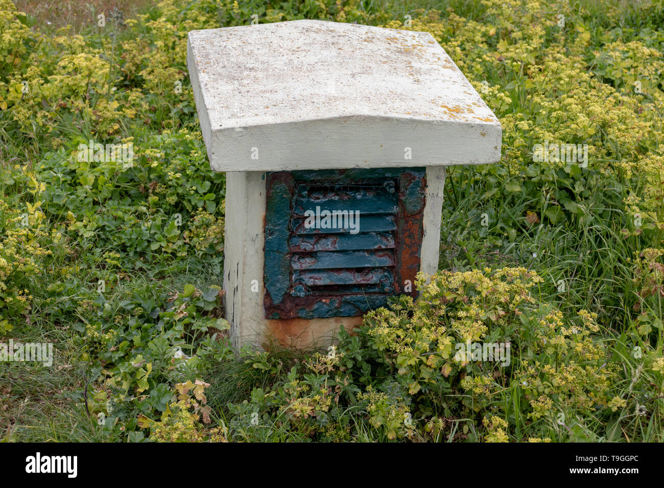 Guerra fredda Bunker nucleari e Aeratore sul Berry Head Riserva Naturale, Brixham, Torbay ,devon.Inghilterra Foto Stock