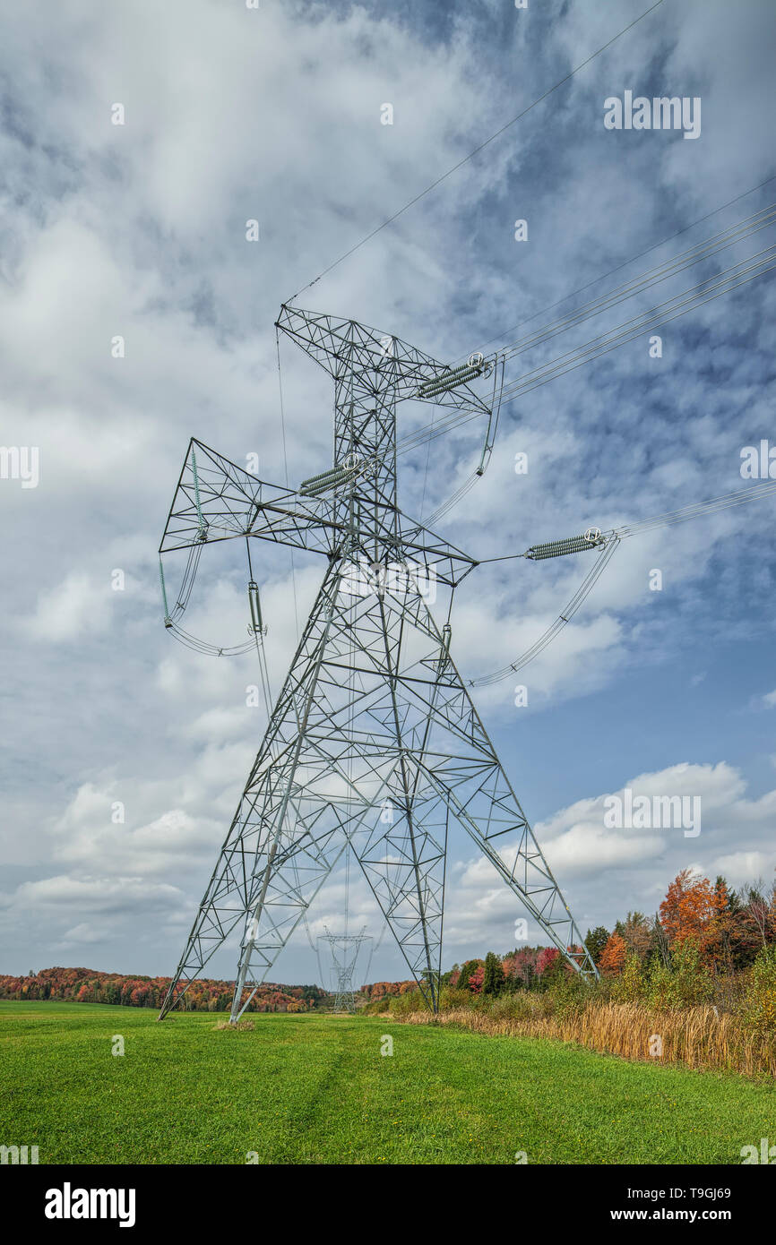 Linea elettrica ad alta tensione tralicci e i colori dell'autunno Foto Stock