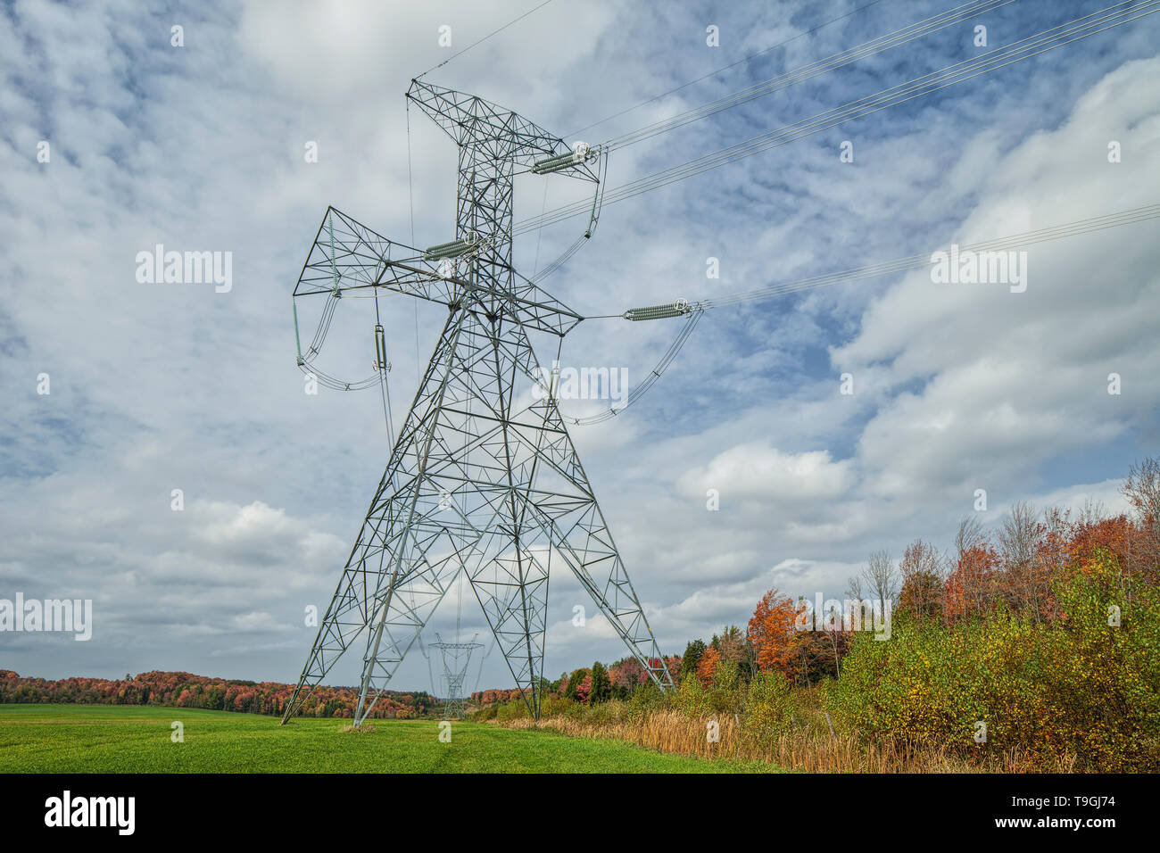 Linea elettrica ad alta tensione tralicci e i colori dell'autunno Foto Stock