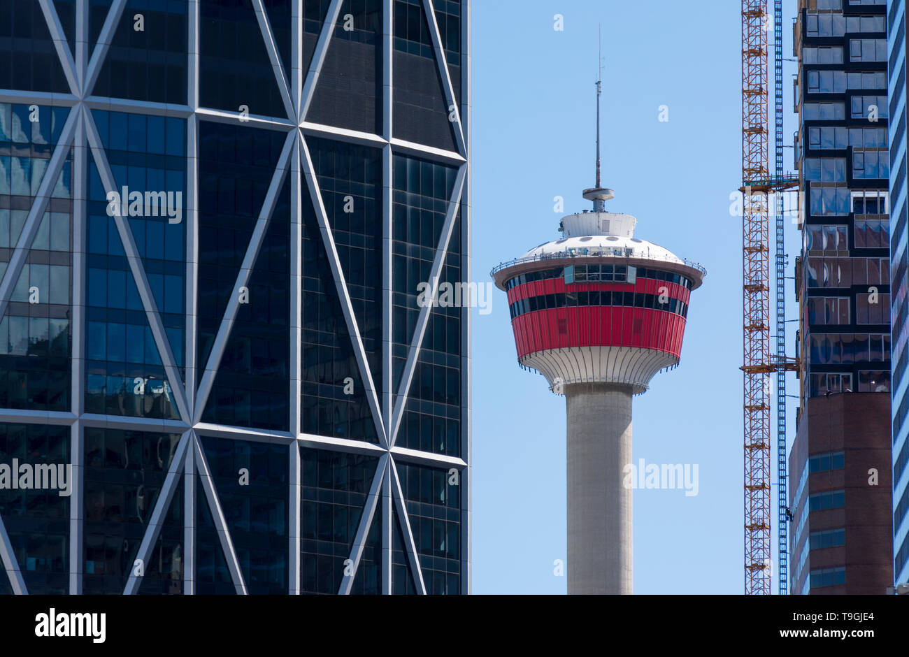 La Calgary Tower incorniciato da prua edificio sulla sinistra e di nuova costruzione sulla destra. Calgary, Alberta, Canada Foto Stock