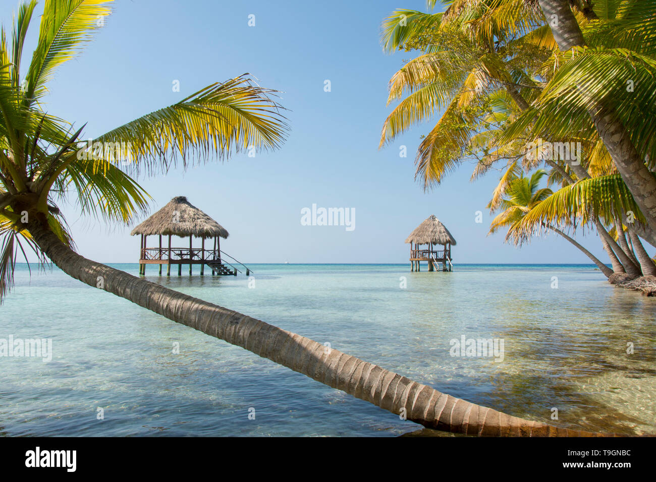 Piattaforme palapa, a nord lungo il Coco Plum Caye Belize Foto Stock