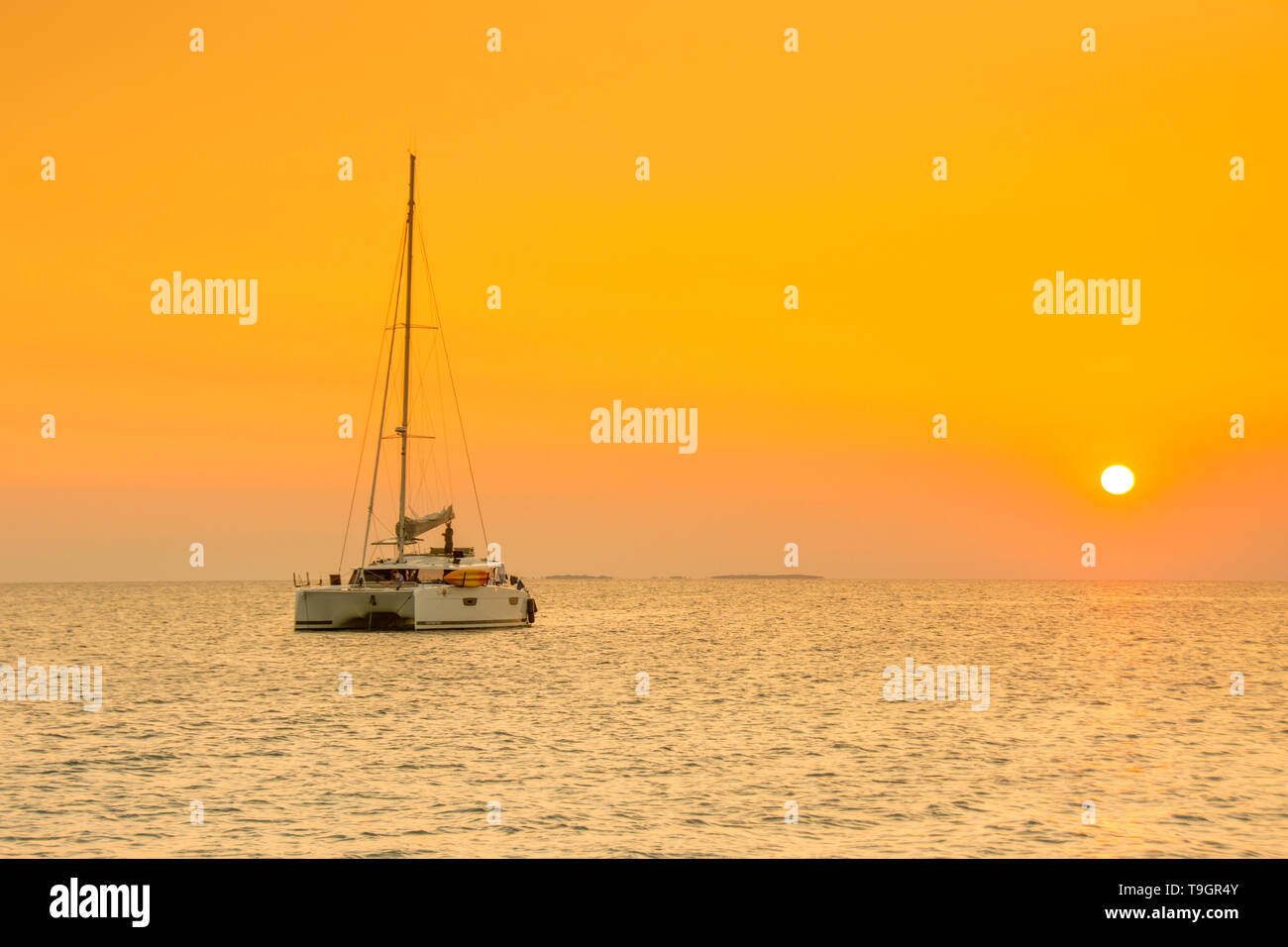 Crociera in catamarano a nord lungo il Coco Plum Caye Belize Foto Stock