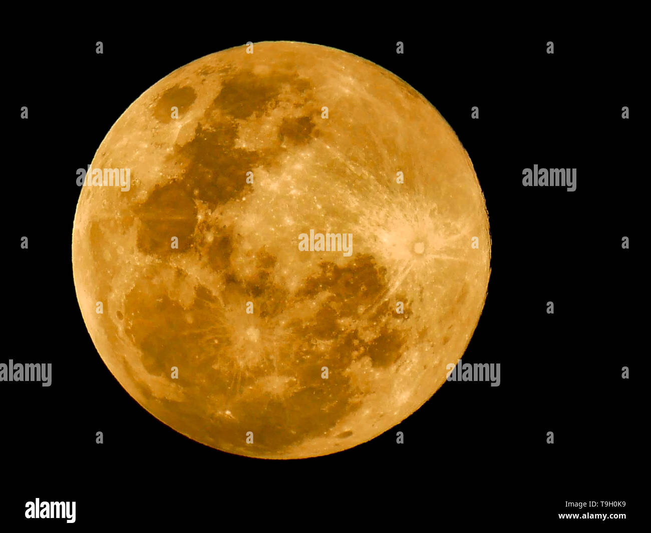 Luna piena un colpo chiaro sul cielo scuro. Foto Stock