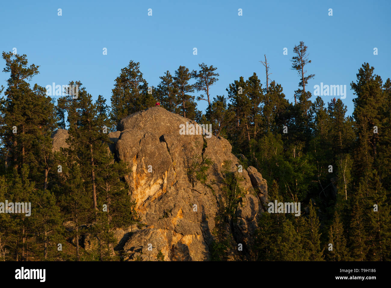 Una persona non identificabili seduto sulla sommità di una grande roccia di quarzo formazione nel tardo pomeriggio di sole circondato da alberi di alto fusto. Foto Stock