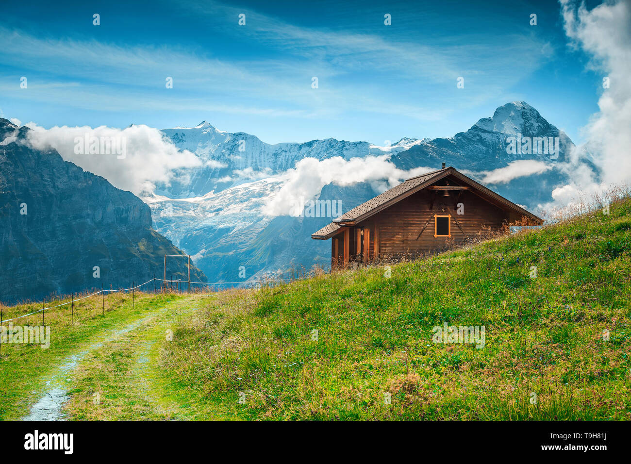 Splendida località alpina con pascoli e alte montagne innevate, Grindelwald, Oberland bernese, Svizzera, Europa Foto Stock