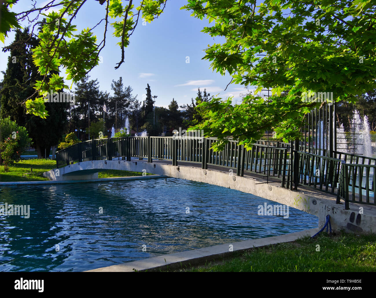 Smal ponte pedonale che conduce alla piccola isola dentro un parco lago. Sicomoro lascia il cielo blu. Alsos Filadelfeias, Atene, Grecia. Foto Stock