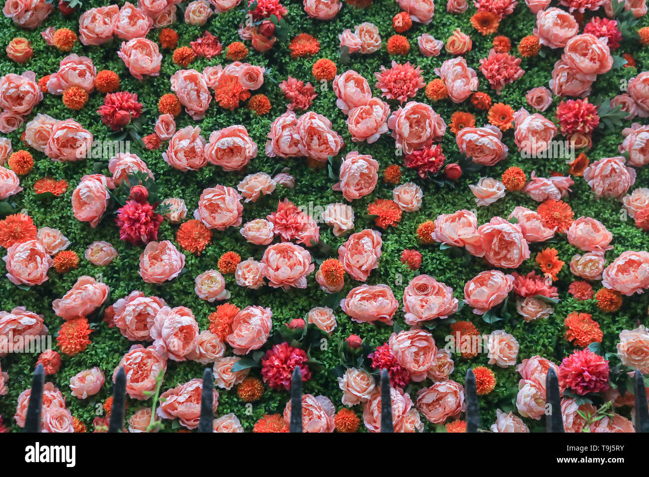 Londra, Regno Unito. Il 19 maggio 2019. La facciata Annabels club privato in London Mayfair è decorato con fiori per contrassegnare il Chelsea Flower Show Credito: amer ghazzal/Alamy Live News Foto Stock