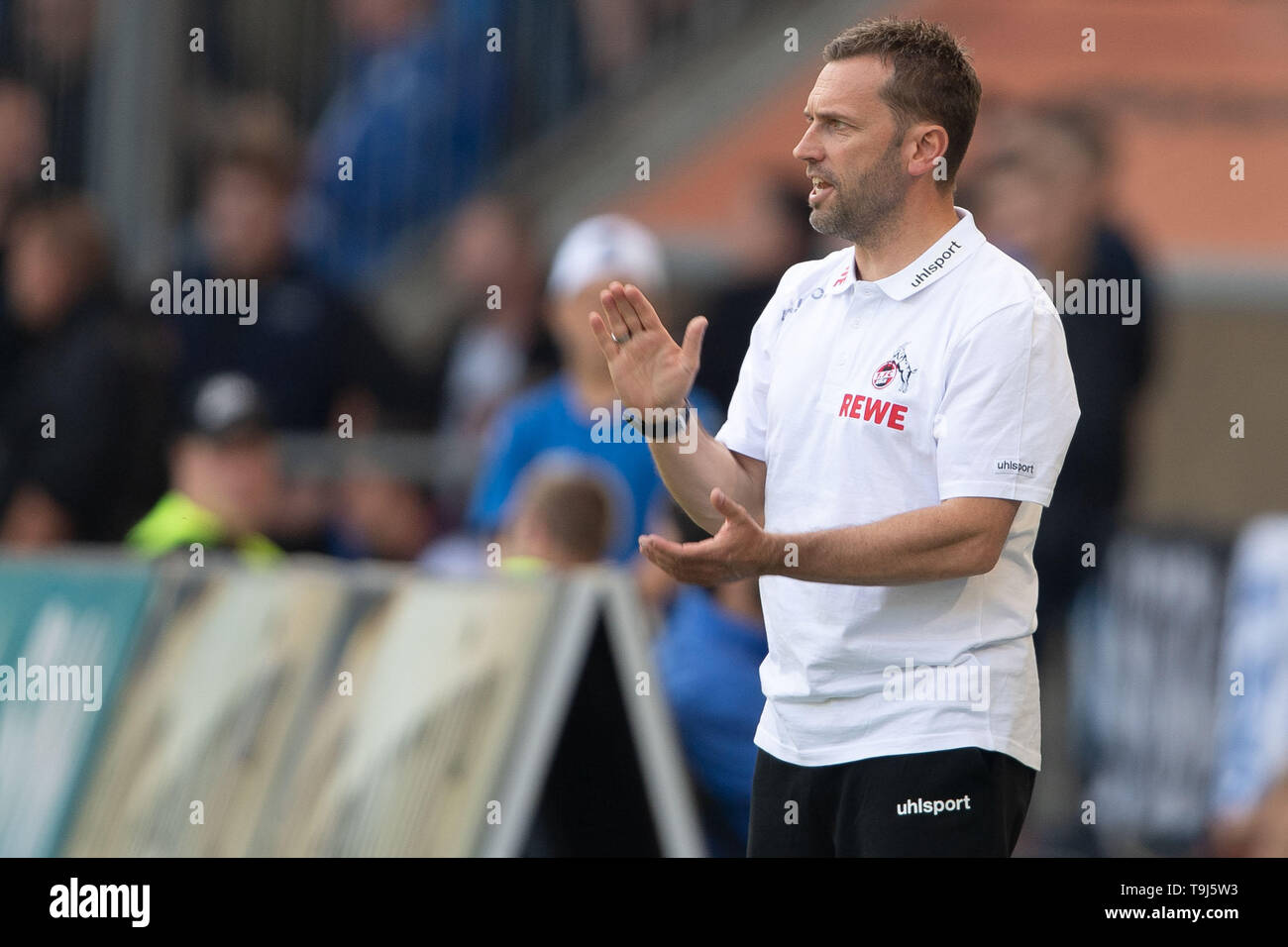 Magdeburg, Germania. 19 Maggio, 2019. Calcio: Seconda Bundesliga, 1° FC Magdeburg - 1FC Colonia, trentaquattresima Giornata nel MDCC-Arena. Colonia allenatore Andre Pawlaks pettegolezzi sugli spalti. Credito: Swen Pförtner/dpa - NOTA IMPORTANTE: In conformità con i requisiti del DFL Deutsche Fußball Liga o la DFB Deutscher Fußball-Bund, è vietato utilizzare o hanno utilizzato fotografie scattate allo stadio e/o la partita in forma di sequenza di immagini e/o video-come sequenze di foto./dpa/Alamy Live News Foto Stock