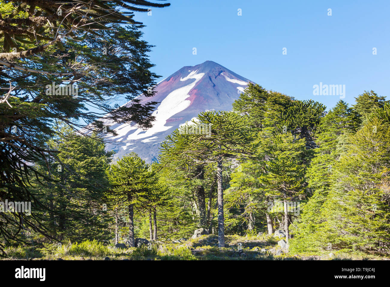 Bellissimi paesaggi vulcanici in Cile America del Sud Foto Stock