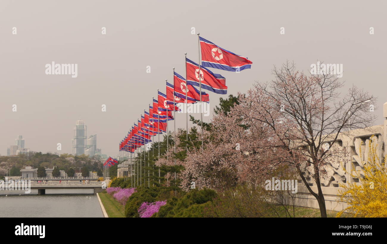 Bandiera della Corea del Nord sventolare nel vento con leggera vignettatura per effetto drammatico. Foto Stock