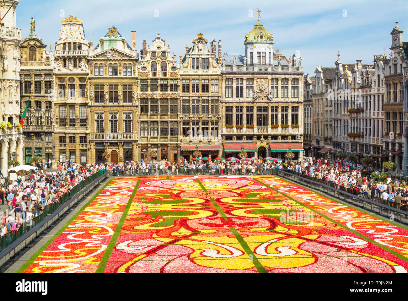Bruxelles Grand Place Bruxelles mostra il tema art deco dei tappeti floreali Bruxelles Belgio UE Europa Foto Stock