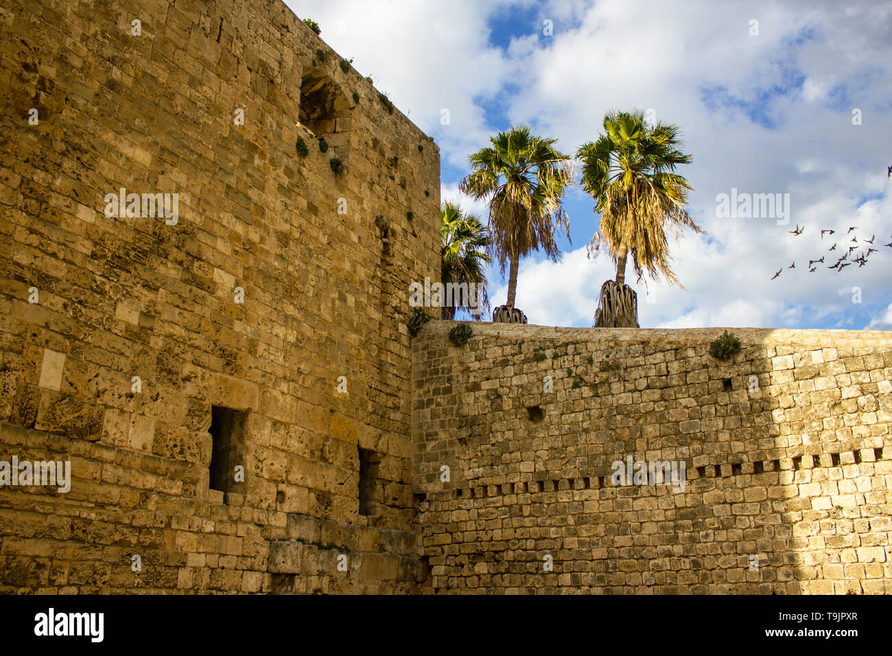 Tripoli, Libano - 15 Gennaio 2016: muro di pietra della cittadella di Raymond de Saint-Gilles aka Pellegrino Hill a Tripoli in Libano Foto Stock