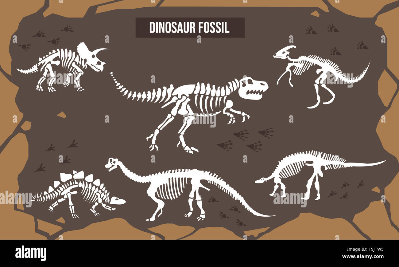 Illustrazione Vettoriale di fossili di dinosauro Foto Stock
