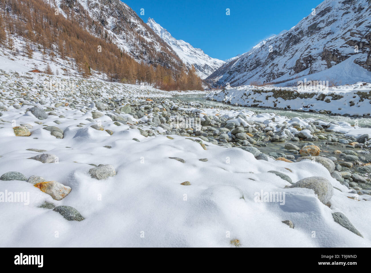 Prominente, nevato torri di picco al di sopra della valle. Alpi svizzere. Coperte di neve valle glaciale di fiume alimentato, neve fresca sul letto del fiume rocce. Foto Stock