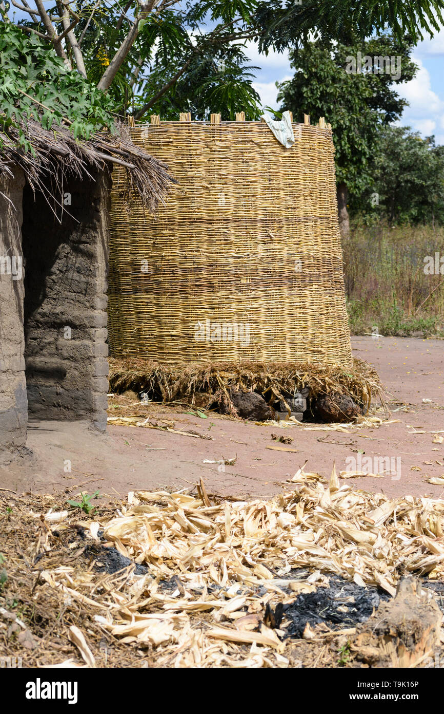 Un archivio per la memorizzazione di granturco effettuate da un canne intrecciate insieme in piedi accanto a una capanna di fango in un villaggio in Malawi centrale Foto Stock