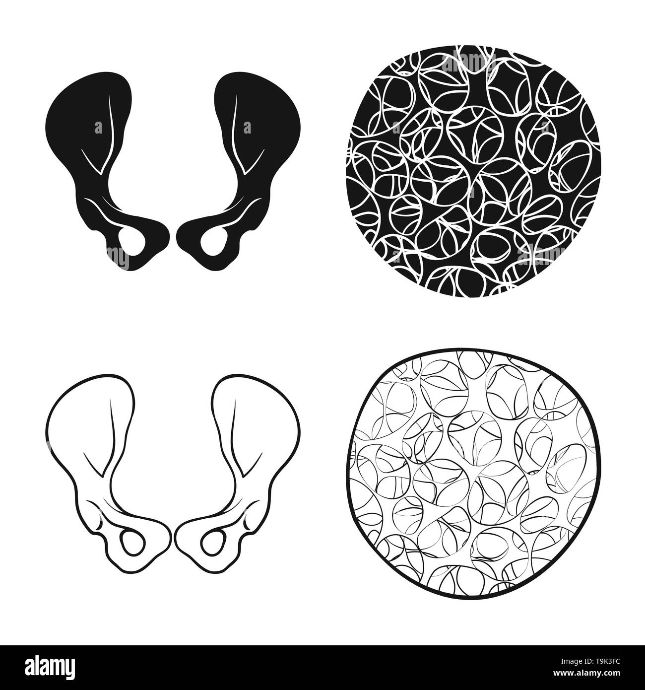Hip,l'osteoporosi,congiunto,cell,bacino,tessuto,chirurgia, tessuto connettivo,sano,la cartilagine,femore,struttura,calcio,apparato muscoloscheletrico,articolazioni,sistema,TENDINE,medicina clinica,,biology,medical,osso,skeleton,anatomia umana,,organi,impostare,vettore,icona,immagine,isolato,raccolta,design,l'elemento,graphic,segno, Vettori vettore , Illustrazione Vettoriale