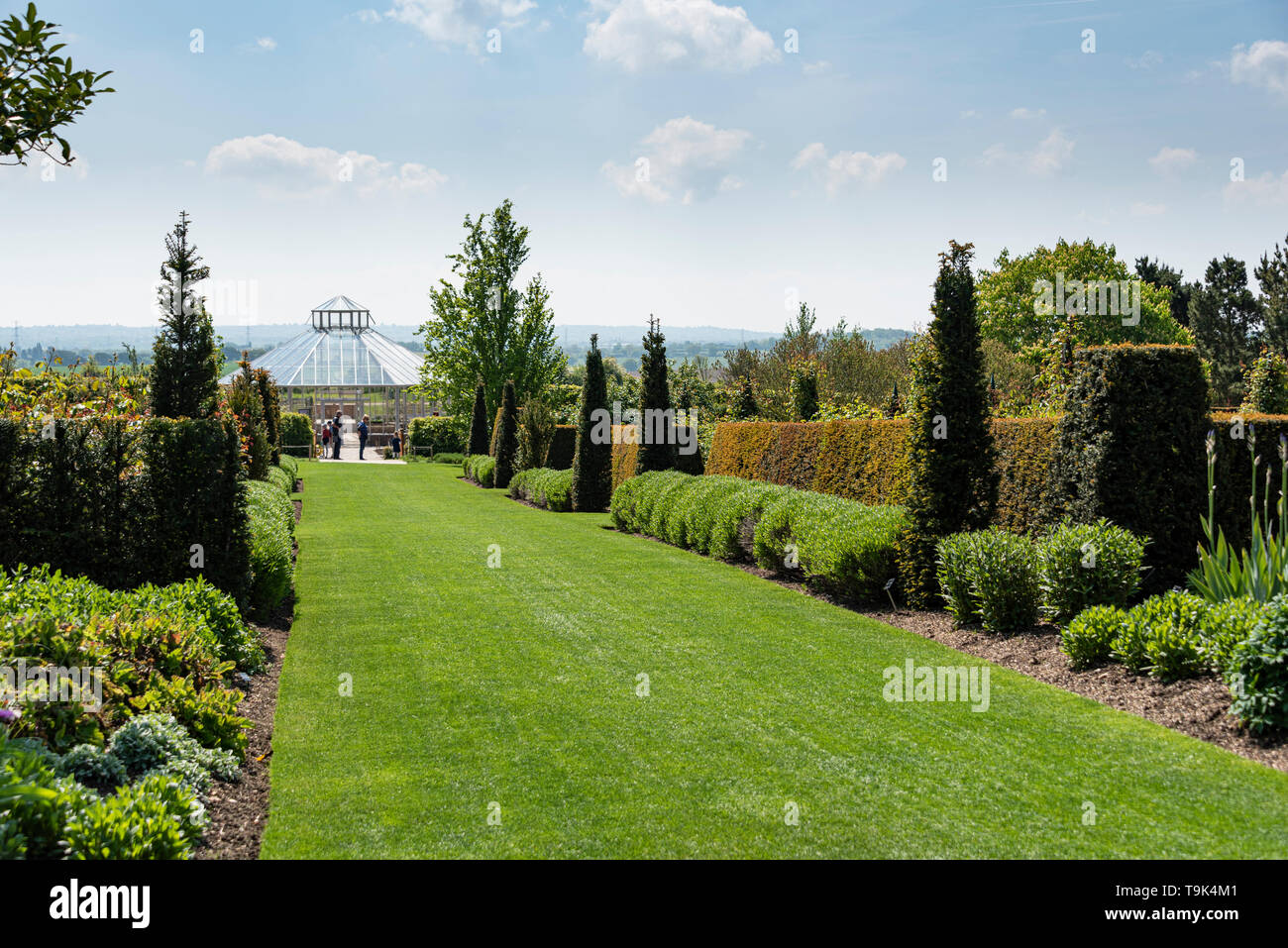 Il giardino delle rose a RHS Hyde Hall, guardando verso la crescita globale orto Foto Stock